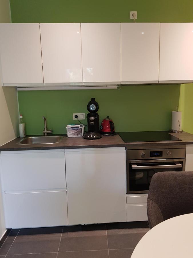 Touristflat Dewulf Apartman Gent Kültér fotó